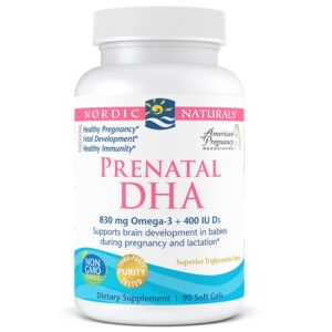 Prenatal DHA 90s front