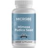 Mimosa Pudica Seed